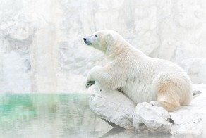 ЛУЧШИЕ ФОТОГРАФИИ NATIONAL GEOGRAPHIC МАЯ 2014