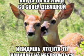 Фишкина солянка за 27.05.2014