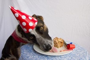 Как выглядит счастье