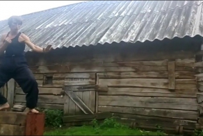 А тем временем в деревне...