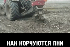 Подборка анимаций