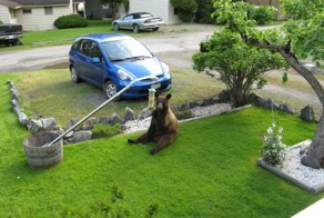Фотоподборка за 28.05.2014