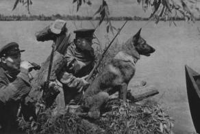 Сегодня День Пограничника!