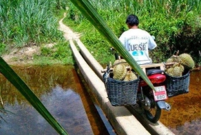 Такое возможно только в Азии