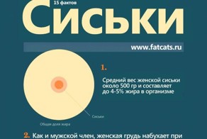 Инфографика женской груди