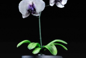 Стеклянные цветы