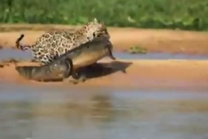 ОХОТНИК 80 LVL !!!