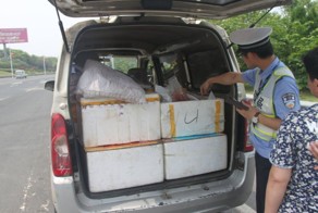 Микроавтобус с парой сотен женских плацент