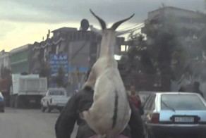 Логистика по-Эфиопски ))