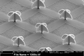 Нано мир. Фото сделанные с помощью электронного микроскопа