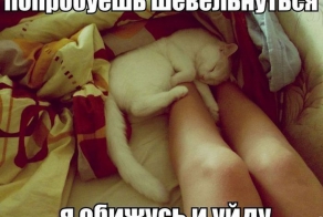 Смешные картинки с подписями