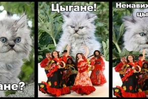 Ненавижу цыган