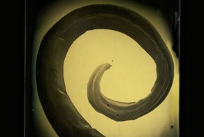 Портреты микроскопических паразитов