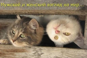 Мир глазами женщины и мужчины