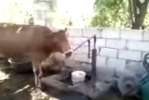 Лучшие приколы #14