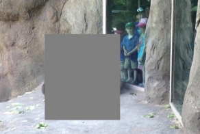 Весна  в зоопарке