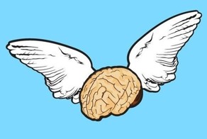 Мозг любит: