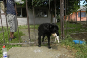 Довольно странная cемья 