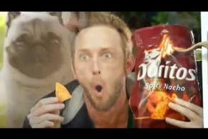 не надо дразнить собаку