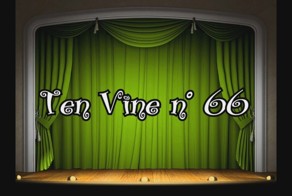 10 коротких видяшек