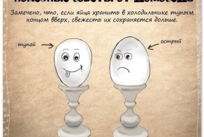 Полезные советы