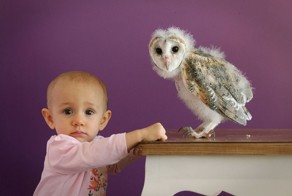 Лучшие фотографии животных со всего мира