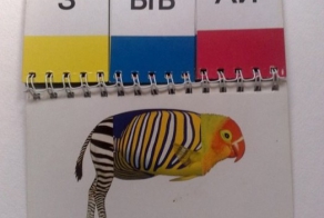 Детская развивающая книжка