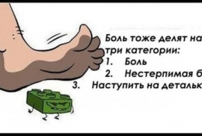  Интересные факты из жизни