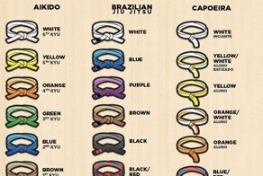 Ранги в боевых искусствах