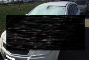 Не будите в женщине зверя!