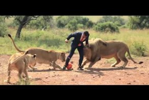 Футбол со львами