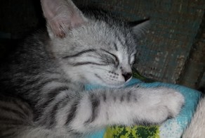 Мимишность зашкаливает