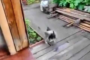 своих на поле боя не бросаем!!!