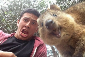 Самый позитивный зверек в мире