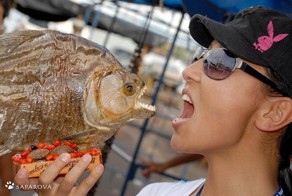 Путешествие по Амазонке