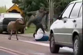 жестокая битва