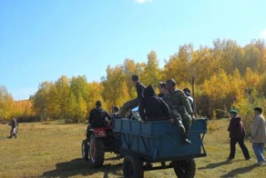 На картошке