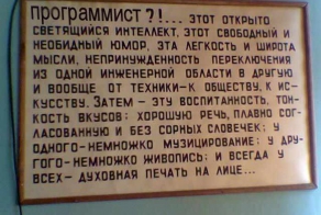 Жизнь программиста