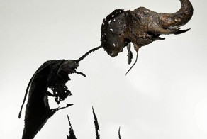 Исчезающие скульптуры животных