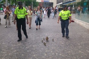 Чешские полицейские сопровождают важных персон