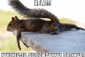 Фишкина солянка за 06.06.2014