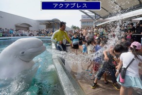 Фотоподборка за 06.06.2014