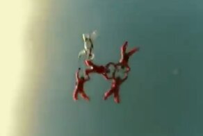 Подборка роликов от 16.11.2012