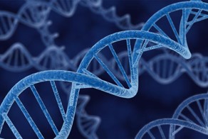 Программа, способная создавать трехмерную модель лица по ДНК