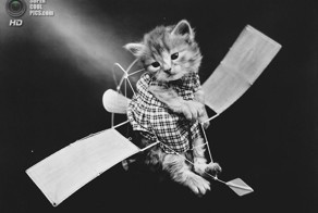 Животные Гарри Уиттера Фриса. «Фотошоп» столетней давности