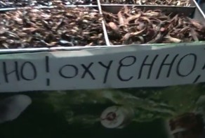 Приколы торговца в Паттайе