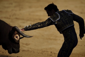 Коррида в гифках