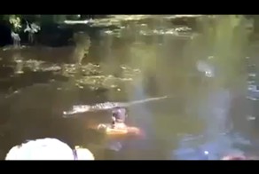 Потрясающее шоу в парке! Туристы были в шоке!
