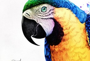 впечатляющие иллюстрации животных