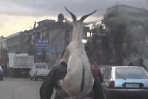 Понедельник! Едем на работку)))